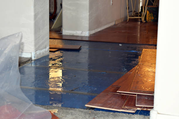 Professional Sewage Cleanup technician working in Elkhart, IN